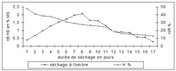 Humidite et huile essentielle de romarin