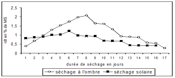 sechage ombre solaire romarin