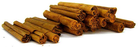 cannelle ceylan cinnamomum verum