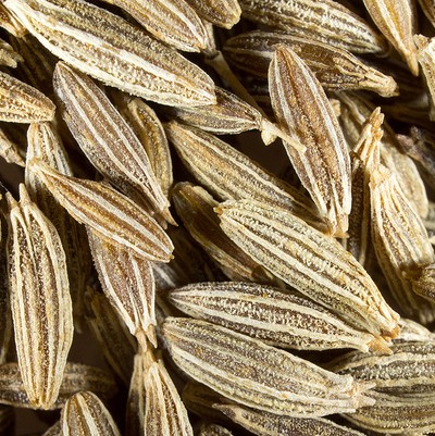 cumin graines