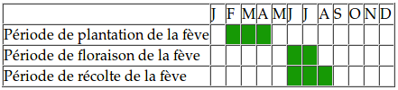 feve plantation floraison recolte