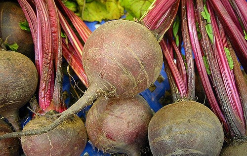 betterave rouge beta vulgaris