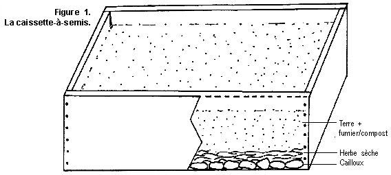 Caissette à semis