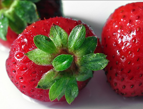 fraise fruit fragaria