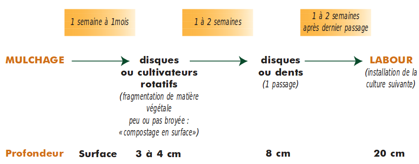 incorporation sol engrais verts