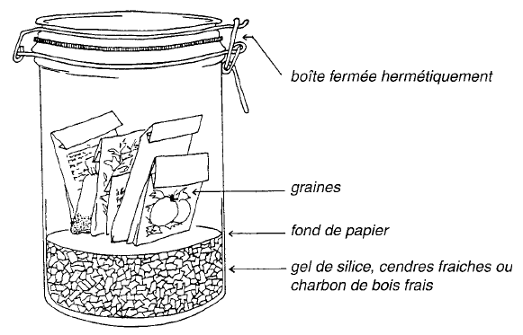 stockage graines