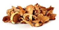 Champignons comestibles - Magasin bio en ligne