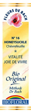Fleur de bach Chèvrefeuille (Honeysuckle) - Biofloral - Magasin bio en ligne