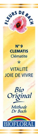 Fleur de bach Clématite (Clematis) - Biofloral - Magasin bio en ligne