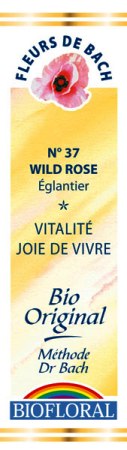 Fleur de bach Églantier (Wild Rose) - Biofloral - Magasin bio en ligne