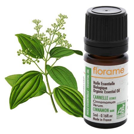 huile essentielle cannelier ecorce florame boutique bio