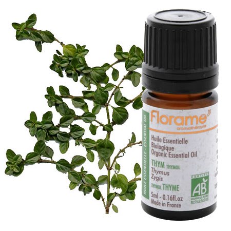 huile essentielle thym thymol florame boutique bio