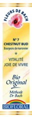 Fleur de bach Bourgeons de marronnier - Biofloral - Magasin bio en ligne