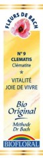 Fleur de bach Clématite (Clematis) - Biofloral - Magasin bio en ligne