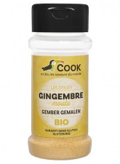 Gingembre en poudre bio