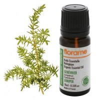 Genévrier 10 ml - Huile essentielle bio Florame Huile essentielle du genévrier commun - Florame - Magasin bio en ligne
