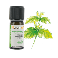 Huile essentielle du patchouli - Florame - Magasin bio en ligne