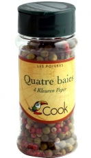 Mélange épices : Quatre baies bio 35 gr - Cook épices Mélange épices quatre baies Cook - Boutique Bio en ligne : épices et aromates du monde