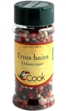 Mélange épices : Trois baies bio 45 gr - Cook épices Mélange épices trois baies - Boutique Bio en ligne : aromates du monde