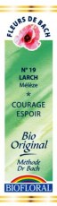 Fleur de bach mélèze (Larch) - Biofloral - Magasin bio en ligne