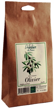 tisane olivier feuilles bio